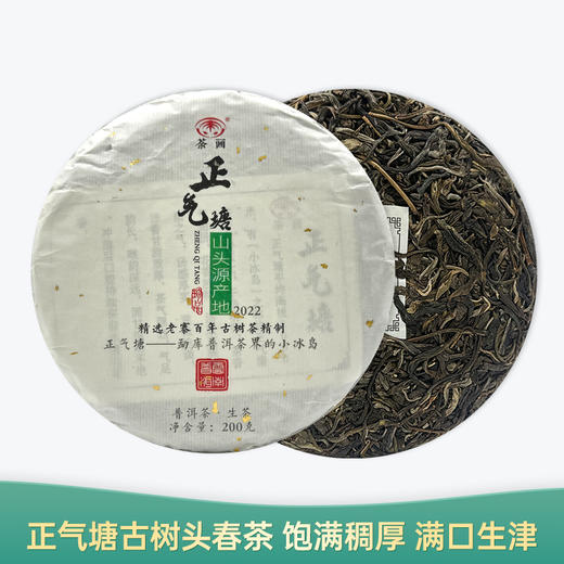 【会员日直播】 2022年 正气塘 普洱生茶 200g/片 买一送一 买二送三 商品图0