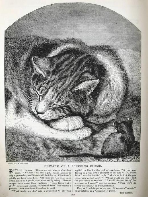 1892年 家语杂志 约百幅精美插图 漆布精装16开 商品图7