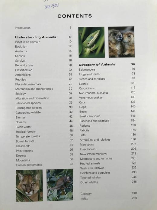 美国动物图解百科全书 900余幅彩色插图 精装大16开 商品图5