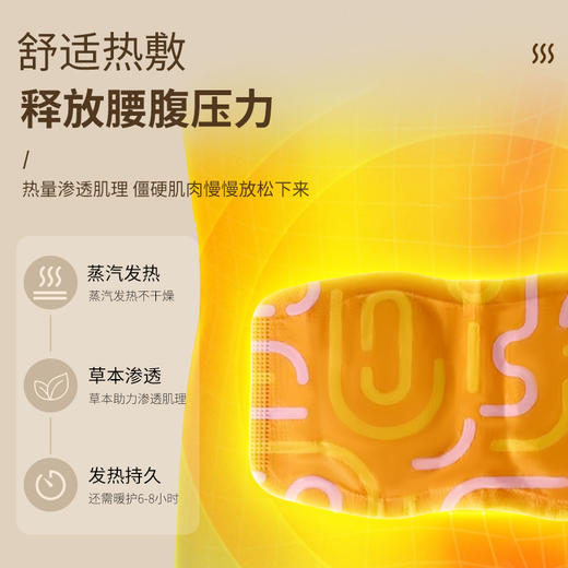 百年扁氏蒸汽暖贴腰腹贴 商品图2