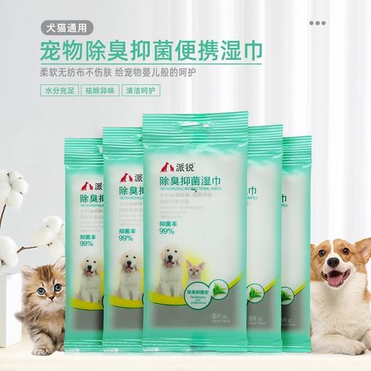 派锐湿巾 商品图1