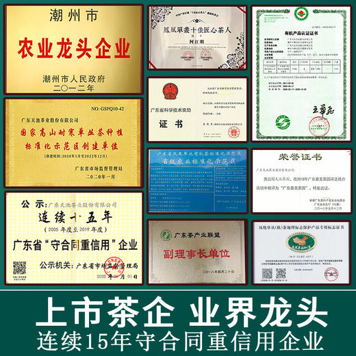 天池1392 老枞八仙 凤凰单丛 潮州单枞茶叶礼盒 礼盒装100g 商品图5