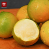 【爆汁糖衣炮弹】脆蜜金桔，果肉丰盈厚实，果皮清甜不麻口，吉祥如意幸福果 商品缩略图0