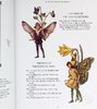 预售 【中商原版】西西莉 玛丽 巴克 花仙子全套 英文原版 The Complete Book of the Flower Fairies Cicely Mary Barker 商品缩略图8