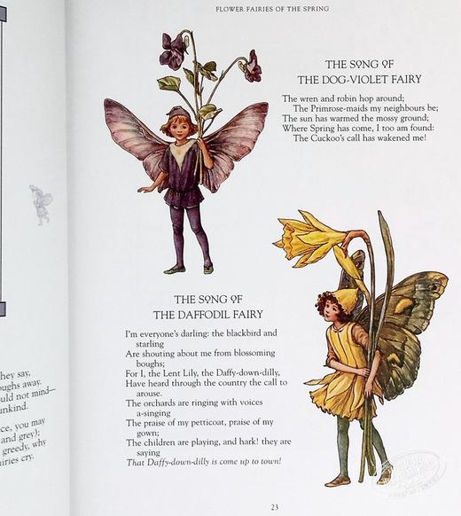 预售 【中商原版】西西莉 玛丽 巴克 花仙子全套 英文原版 The Complete Book of the Flower Fairies Cicely Mary Barker 商品图8