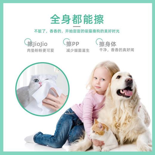 派锐湿巾 商品图0