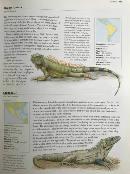 美国动物图解百科全书 900余幅彩色插图 精装大16开 商品图13