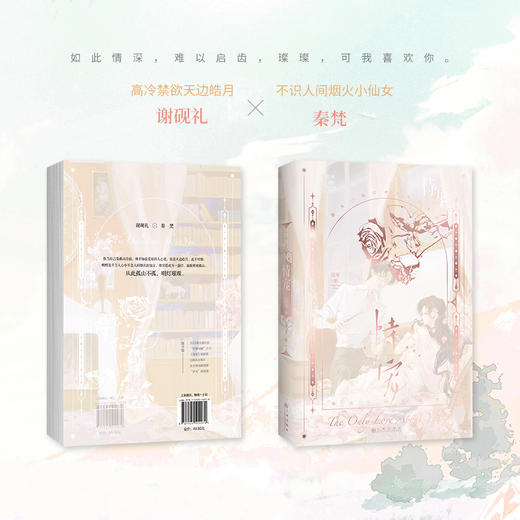 恃宠 高人气作者臣年浪漫甜蜜代表作 商品图2