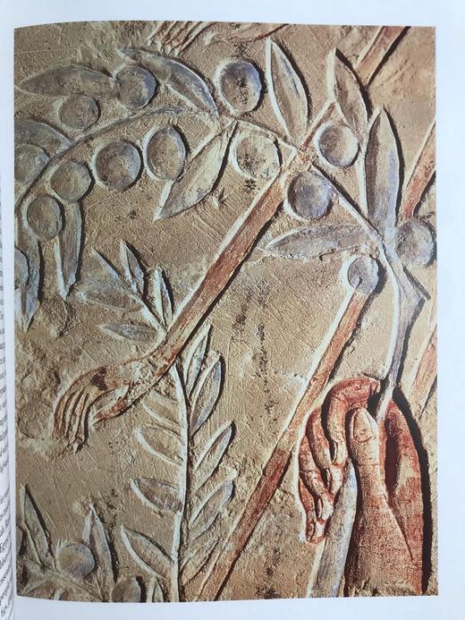 保罗·约翰逊《古埃及文明》 150幅彩色插图 精装16开 商品图11