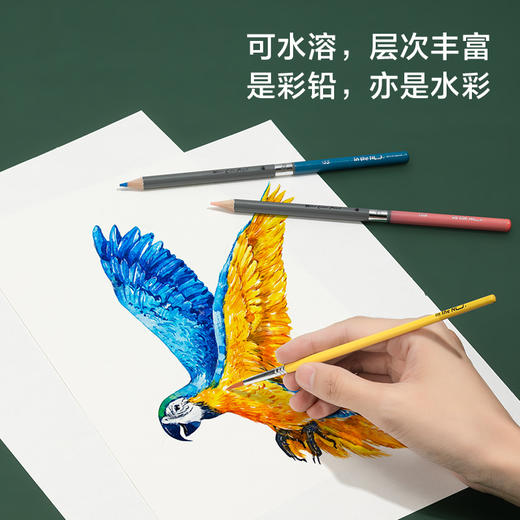 纽赛NS731-72纽赛水溶性彩铅(混)(72色/盒) 商品图1