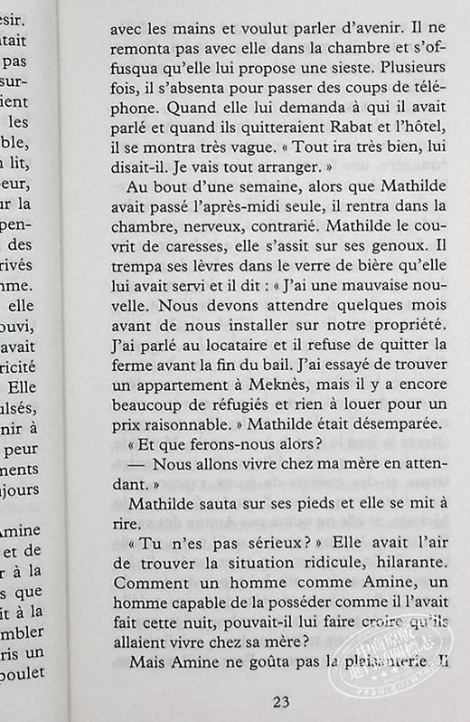 【中商原版】蕾拉 斯利玛尼 他人的国度 温柔之歌 作者新书 LE PAYS DES AUTRES 法文原版 Leila Slimani 商品图6