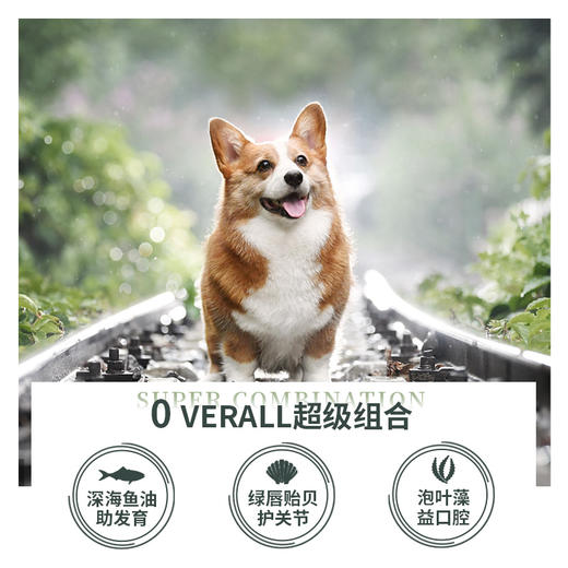 Zeal无谷狗罐头390g大罐 商品图1