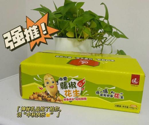 【网红爆品】爱匠小爱藤椒花生 出口欧洲美国香港 酥酥麻麻香香 商品图3