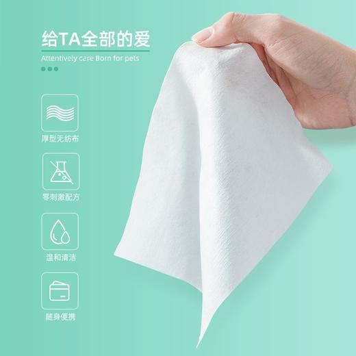 派锐湿巾 商品图2