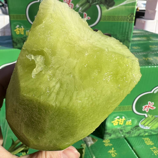 天津沙窝萝卜 商品图2