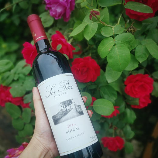 【澳洲原装进口】巴兹先生西拉干红葡萄酒750ml单瓶 商品图3