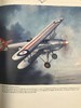 英国皇家空军图史 450余幅插图 精装大16开 商品缩略图6