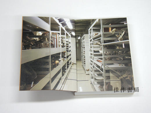 新装版　標本の本 京都大学総合博物館の収蔵室から / 新版本  标本之本  从京都大学综合博物馆的收藏室  New Edition A Collection of Specimens: From th 商品图1