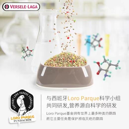 【鹦鹉粮】比利时凡赛尔虎皮鹦鹉饲料玄风牡丹混合粮1kg 商品图6