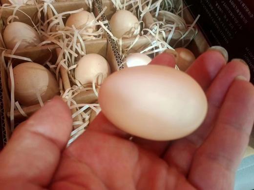 有机富硒鸡蛋40只装+700天老母鸡一只 商品图3