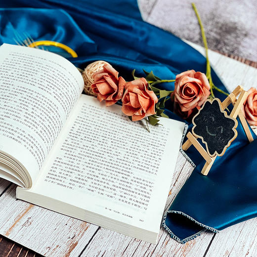 美的旅程 中学语文教学文本阐释精选 大夏书系 语文之道 吴礼明著 商品图9