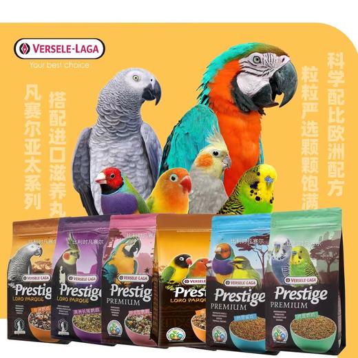 【鹦鹉粮】比利时凡赛尔虎皮鹦鹉饲料玄风牡丹混合粮1kg 商品图0