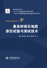 复杂砂砾石地层原位试验与测试技术（中国水电关键技术丛书） 商品缩略图0