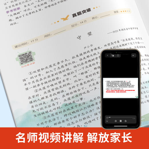 初中语文阅读理解公式法三段式阅读答题公式 商品图3