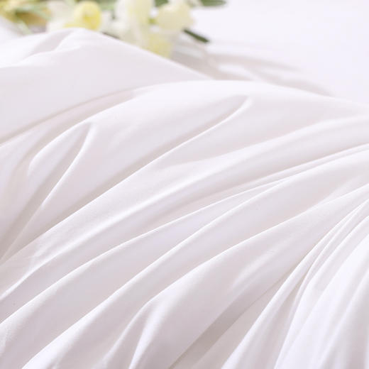 零感释压白鹅枕 商品图6