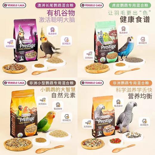 【鹦鹉粮】比利时凡赛尔虎皮鹦鹉饲料玄风牡丹混合粮1kg 商品图1