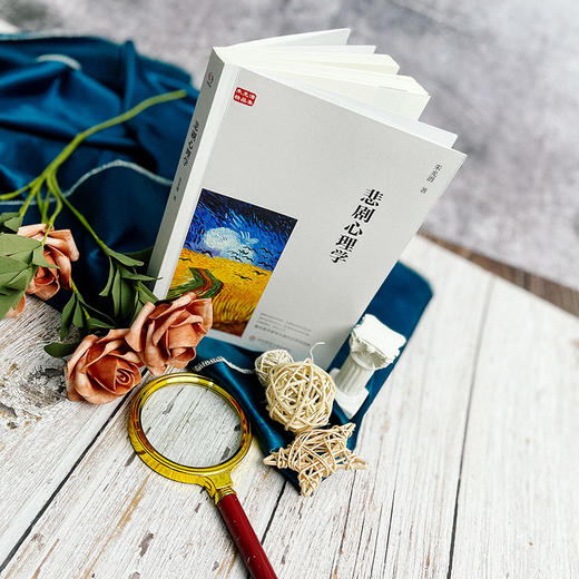 悲剧心理学 朱光潜精品集 美学著作 文艺心理学 正版 华东师范大学出版社 商品图1