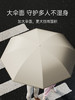 左都ZD149自动节节收反向黑胶晴雨伞 商品缩略图11