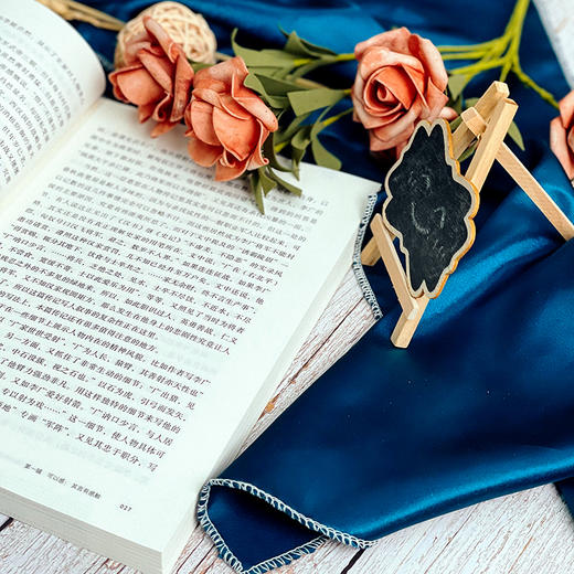 美的旅程 中学语文教学文本阐释精选 大夏书系 语文之道 吴礼明著 商品图7