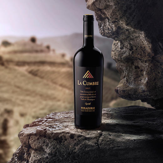 智利拉宫博La Cumbre伊拉苏酒庄珍藏西拉干红葡萄酒原瓶进口 商品图3