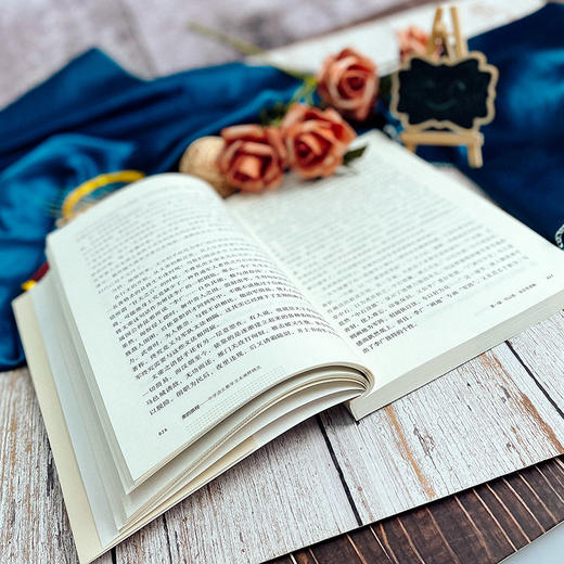 美的旅程 中学语文教学文本阐释精选 大夏书系 语文之道 吴礼明著 商品图6