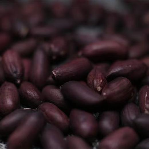 去壳黑花生粒500g 商品图2