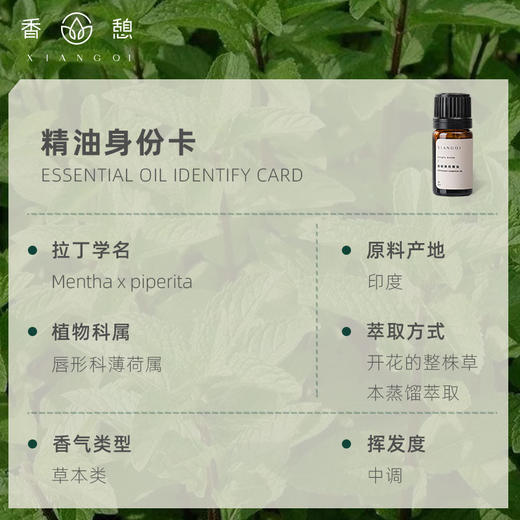 「课程·单方油」XIANGQI香憩︱胡椒薄荷精油 5ml/瓶 商品图2