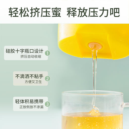 【汪氏】465g枣花蜜*2 商品图2