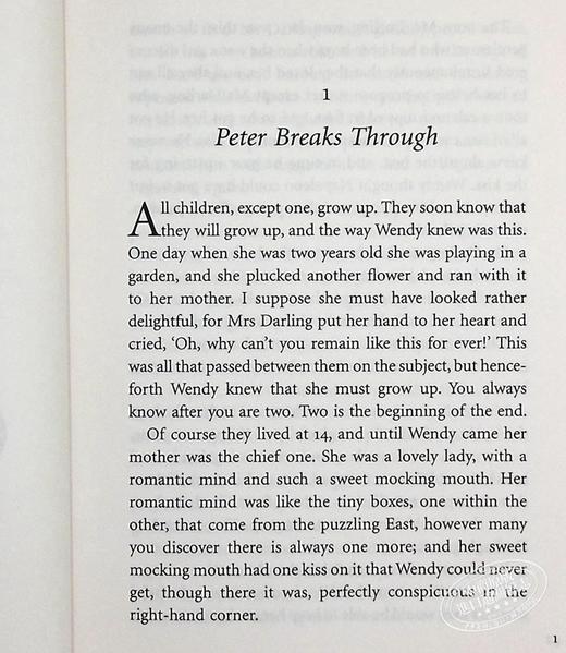 【中商原版】Puffin Chalk 插图毛边系列童话 爱丽丝梦游仙境 彼得潘 绿野仙踪 3本套装 英文原版 Alice Peter Pan Wizard of Oz 商品图6