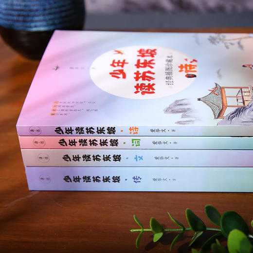 少年读苏东坡（全4册）（“诗+词+文+传”一步到位，一套更适合孩子阅读的苏东坡读本，经典篇目详细解读，诗词赏析，文章注释、译文、解读，帮助孩子轻松跨越古文障碍) 商品图1