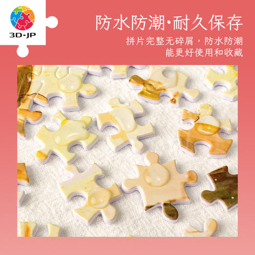 【折扣商品 不退不换】1200片平面拼图塑料拼图 H3050 endmion1-爱是永恒的瞬间 商品图5