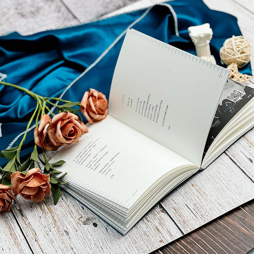 低温下的美 王寅诗歌集 摄影 商品图3