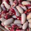 生态白芸豆  | 合作生产* Eco-  white kidney bean   | Coproduction 商品缩略图0