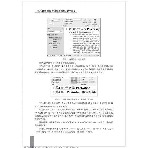 办公软件高级应用实验指导（第二版)/浙江大学出版社/第2版/郑建标 谭渊 欧阳开翠 商品图4
