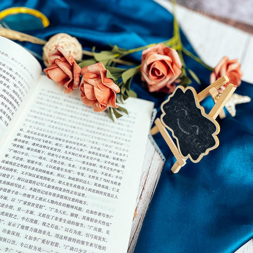 美的旅程 中学语文教学文本阐释精选 大夏书系 语文之道 吴礼明著 商品图8