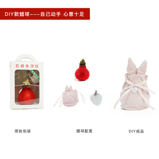 I love You Tu! 情人节限定蜡球 红花 卖完即止！中通包邮 昆明发货 商品图0