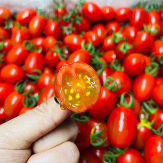 釜山玲珑小番茄🍅 商品图2