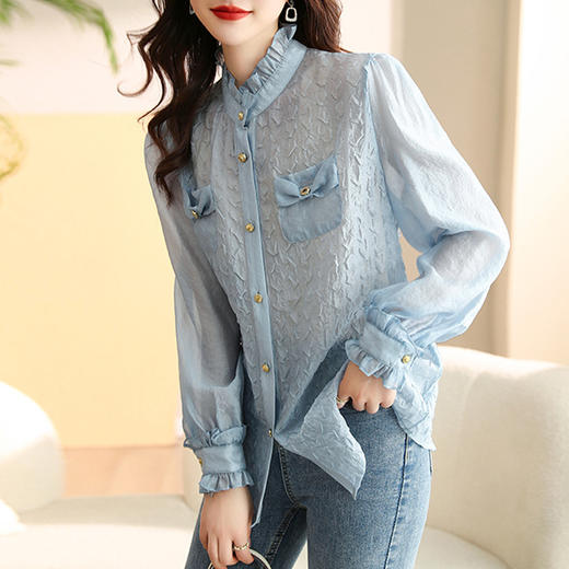 提花衬衫打底衫，早春秋新款法式洋气别致漂亮小衫HR-WHA002 商品图0