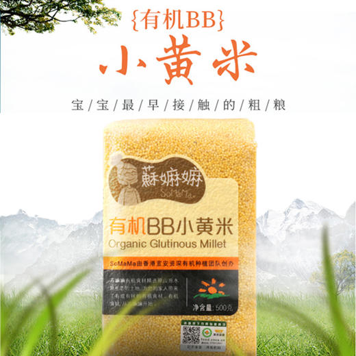 有机BB小黄米 商品图6
