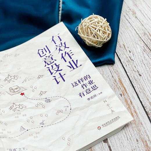 有效作业创意设计 这样的作业有意思 大夏书系 李志欣主编 商品图6